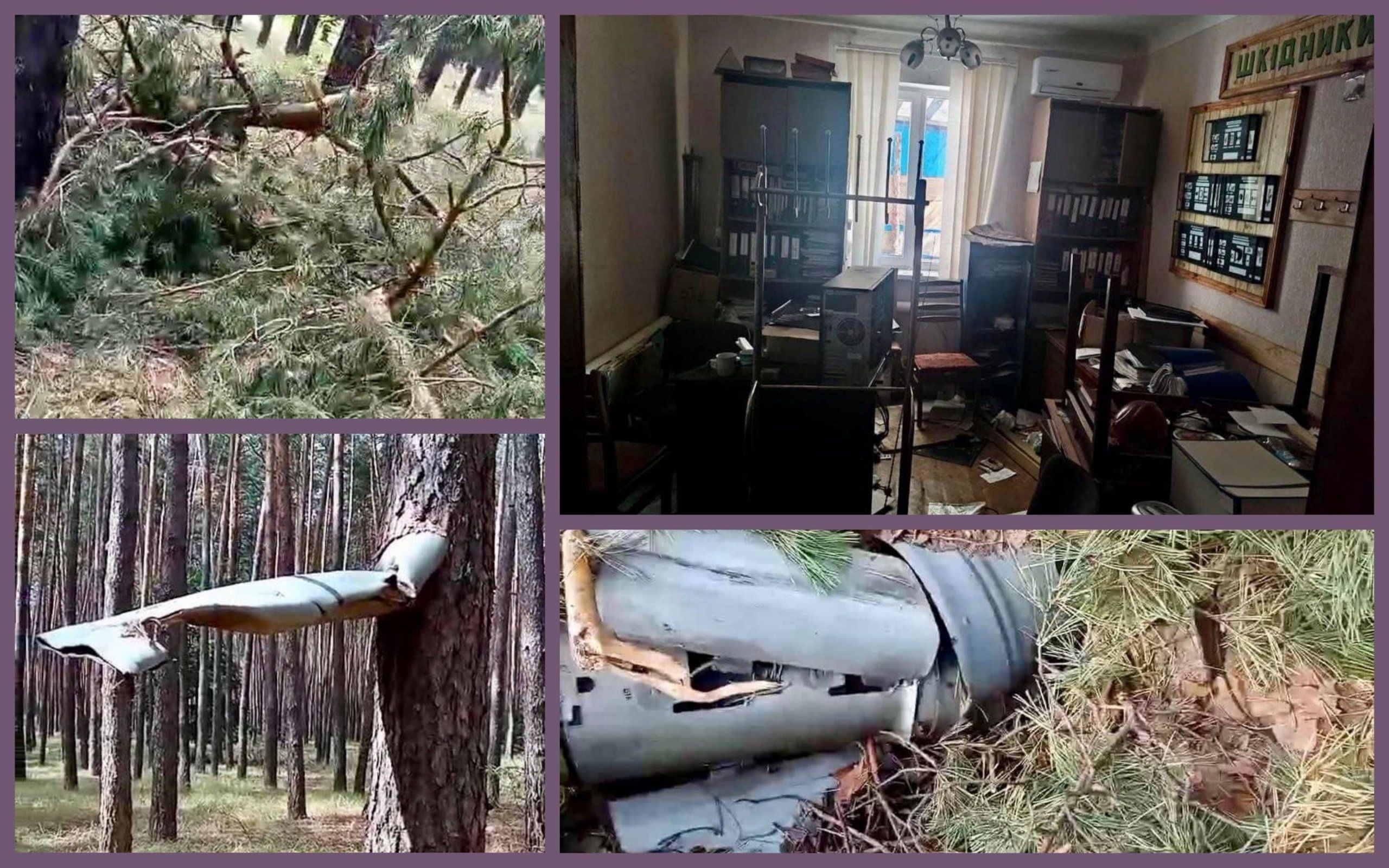 Photo – The Armed Forces of Ukraine freed 150,000 hectares of forest in Kharkiv region. Photo