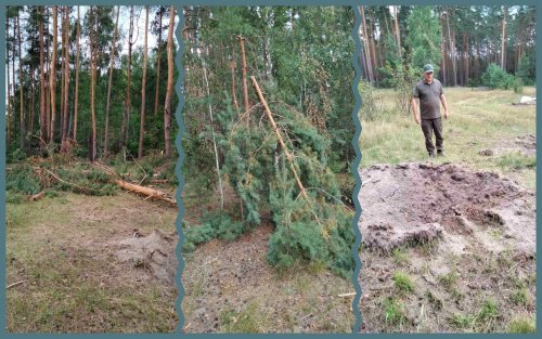 Millions of damages were calculated from the shelling of the national park in Sumy region