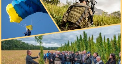 Фото – В Україні зможуть виготовляти бронежилети, порох та парашути з конопель