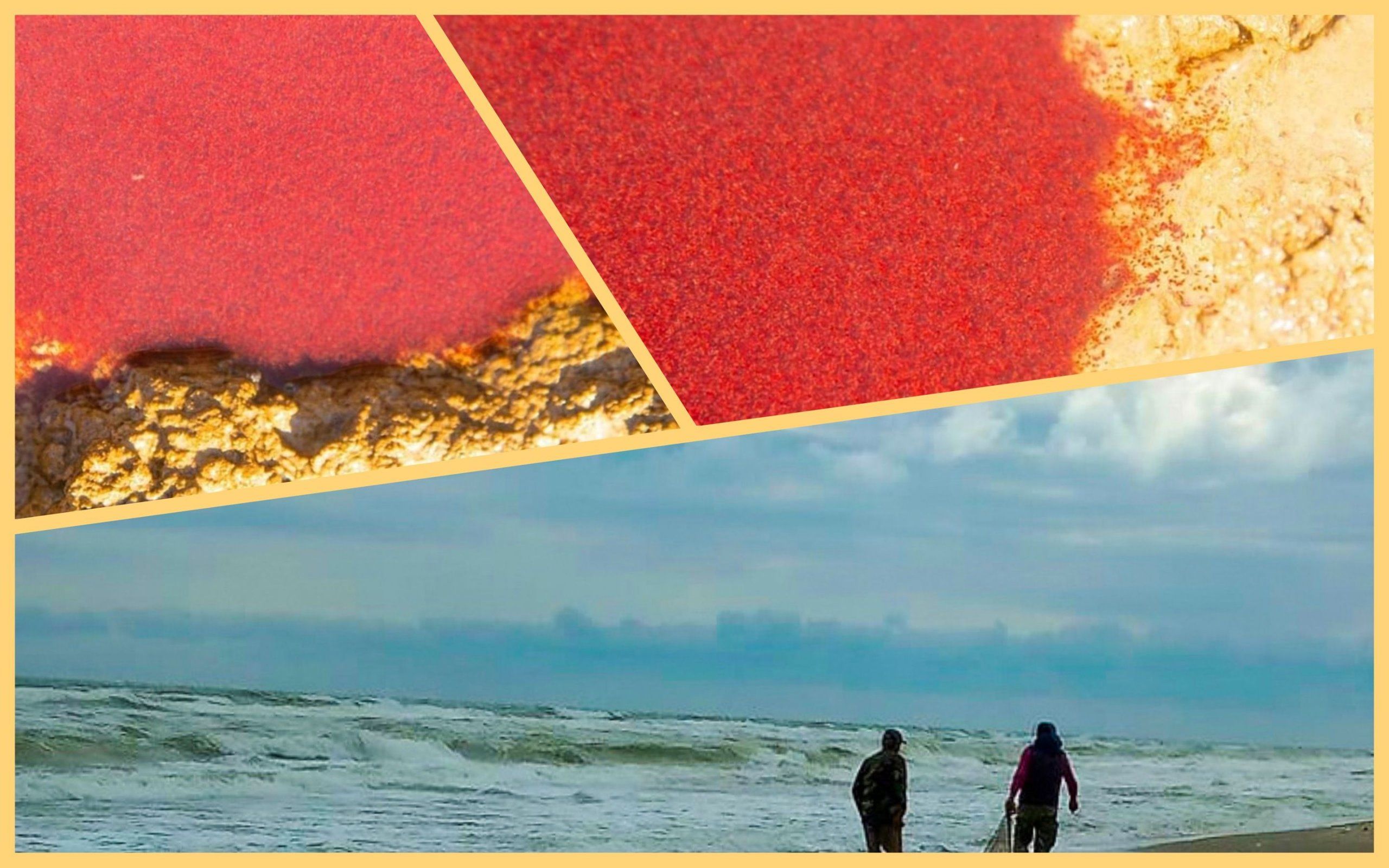 Photo – A protected estuary was covered with red spots in Odesa: the reason
