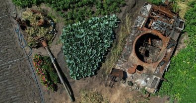 Photo – Why vegetables from war-damaged gardens are dangerous
