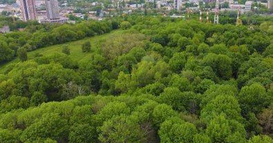 Фото – “Спекуляція на темі війни”: у Києві хочуть створити кладовище на заповідній Лисій горі