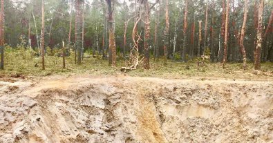 Фото – Экоинспекторы рассчитали миллионный ущерб от ракетной атаки по лесу Ривненщины