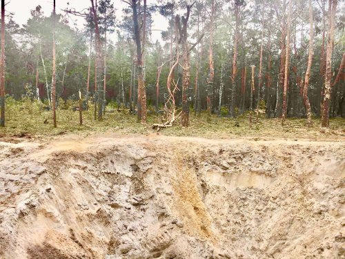 Екоінспектори розрахували мільйонні збитки від ракетної атаки по лісу Рівненщини