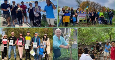 Photo – More than 30 countries planted a million trees during the Ukrainian action "Forests of Unity". Photo