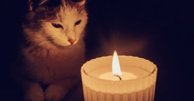 Photo – Top tips and necessary actions when light heat and water are turned off