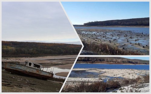 Війна поставила водосховище Харківщини на межу екологічної катастрофи – екоактивіст