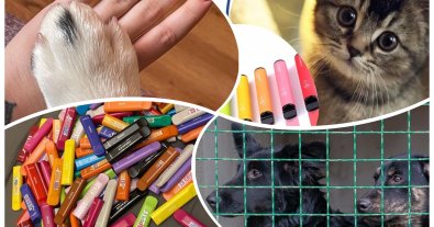 Photo – Ukrainians will be able to give light to animals thanks to old disposables