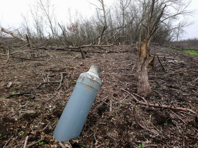 Великобритания поможет восстановить пострадавшие от войны леса Украины