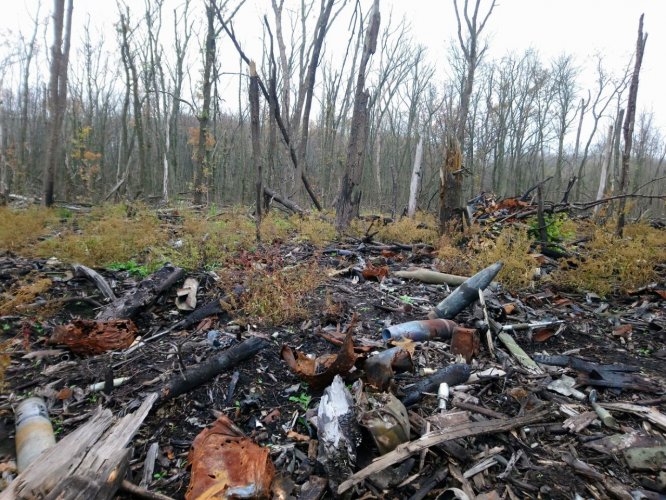 The Ministry of Natural Resources told about all the eco-losses of Ukraine for 11 months of the war