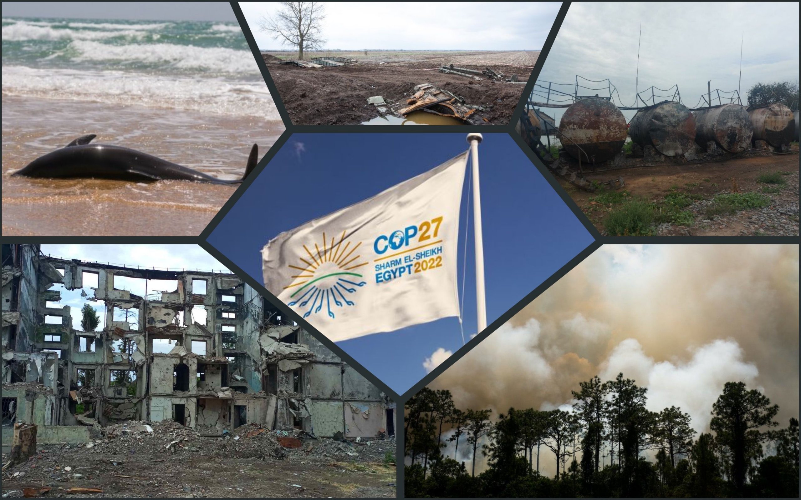 Фото – Украина на COP27 сможет показать миру последствия российской агрессии для экологии