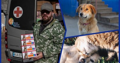 Фото – Военным передали сотни кг корма, чтоб кормить животных на освобожденных территориях