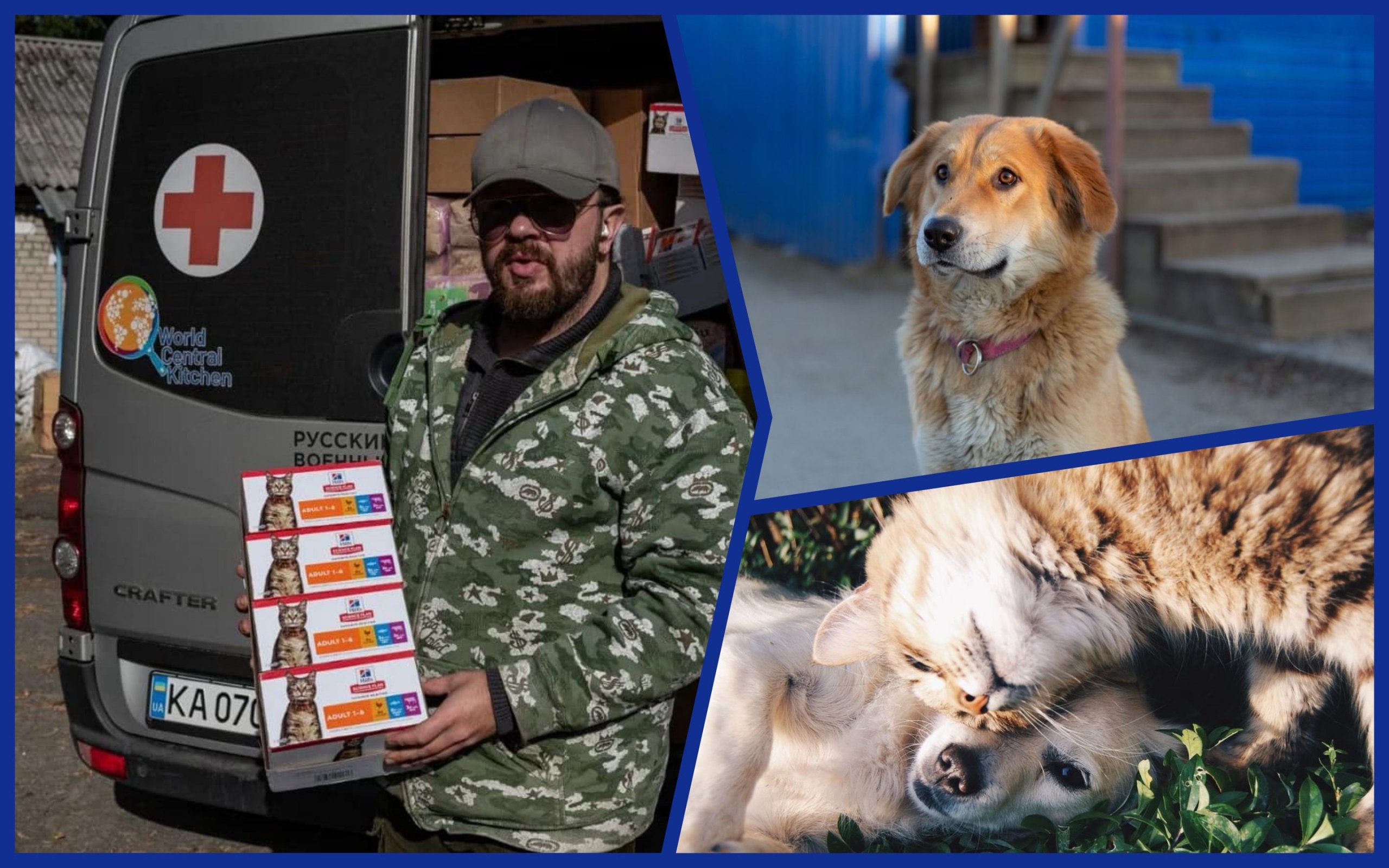 Photo – Hundreds of killograms of fodder were given to the military to feed the animals in the liberated territories