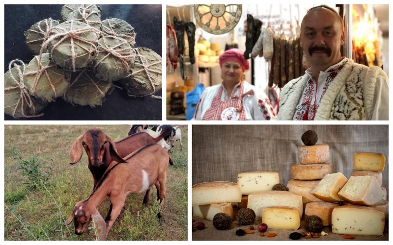 Eco-farmer from Donetsk region moved his cheese factory and goats to Volyn