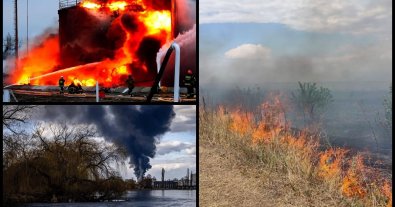 Фото – Росія винищує природу України: озвучено суму збитків