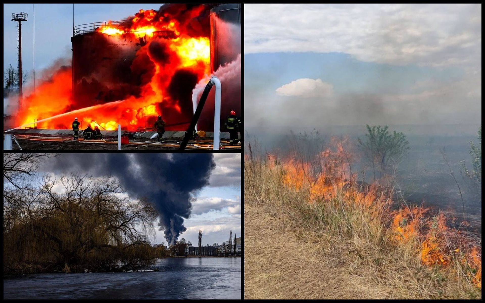 Photo – Russia is destroying the nature of Ukraine: the amount of damages