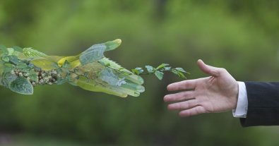 Фото – Движением послевоенного восстановления должна стать экономика по принципам Green Deal - EBA