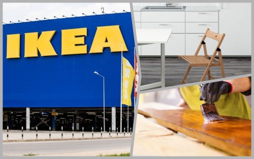 IKEA звинуватили в купівлі деревини з білоруських колоній