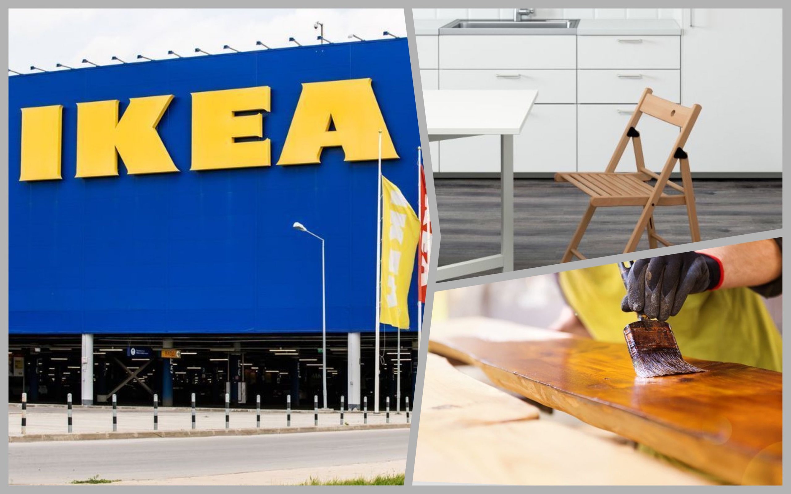 Фото – IKEA обвинили в покупке древесины из белорусских колоний