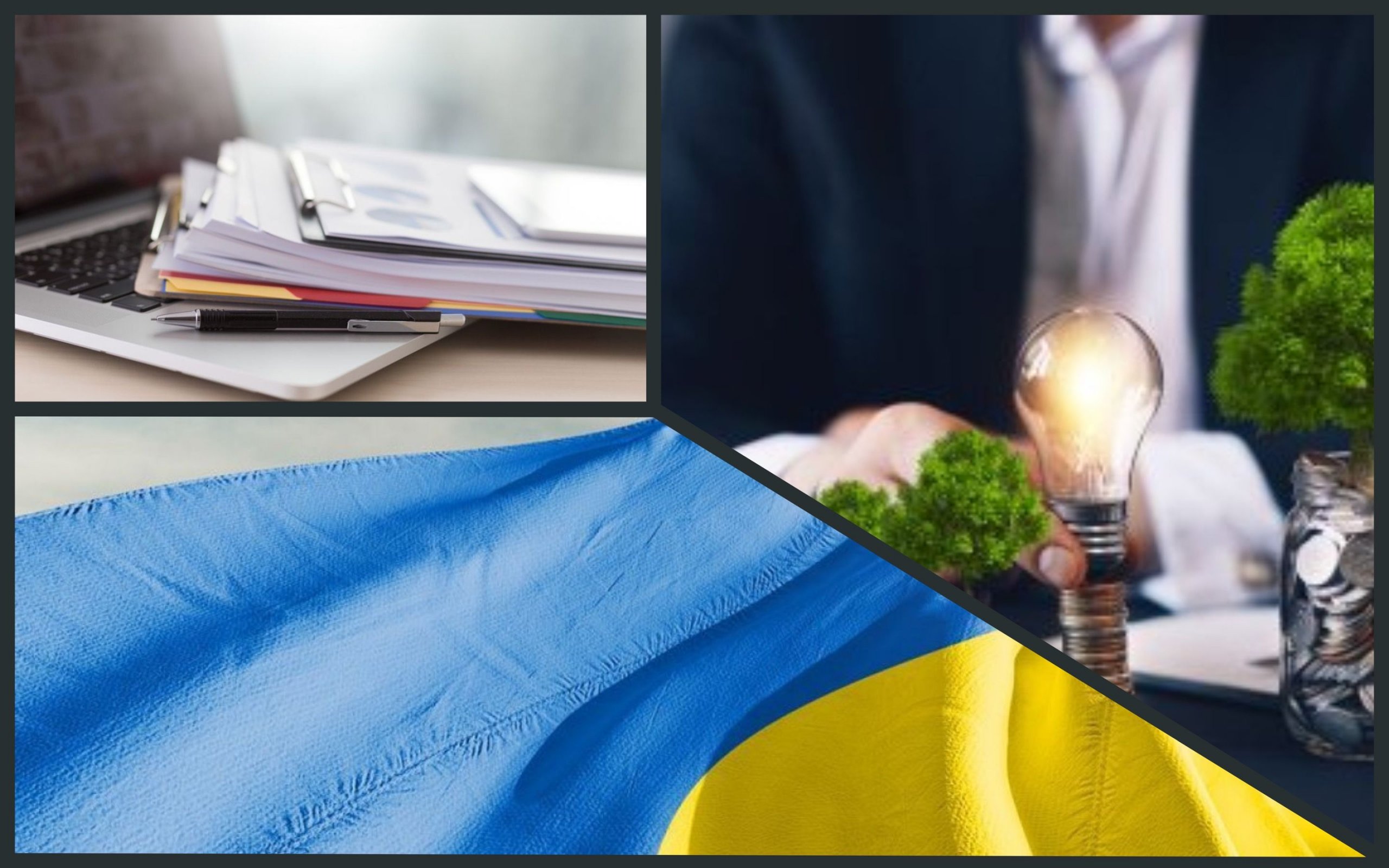 Фото – Украинский бизнес сэкономил 92 миллиона гривен на оформлении экосправок онлайн