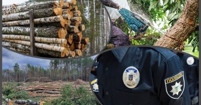 Фото – В Держлісагентстві придумали, як побороти масштабні незаконні рубки