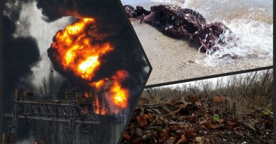 Фото – За рік війни природа України зазнала втрат на майже 2 трильйони гривень