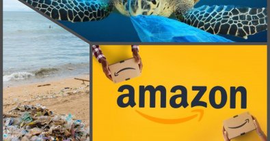 Фото – Річне пластикове сміття Amazon може огорнути планету 800 разів – дослідження