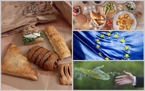 Як зменшити кількість органічних відходів у ресторанах: досвід Німеччини