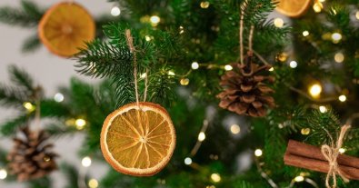 Photo – TOP-7 tips for the ecological celebration of the New Year