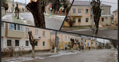 Фото – В Ривненской области энергетики уничтожили символические для города деревья