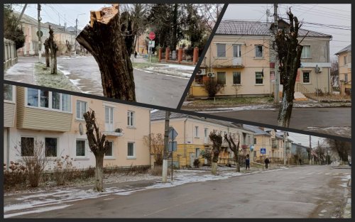 В Ривненской области энергетики уничтожили символические для города деревья