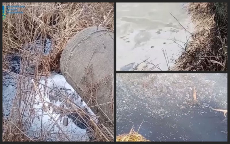 На Житомирщині маслозавод звинуватили у забрудненні річки стічними водами