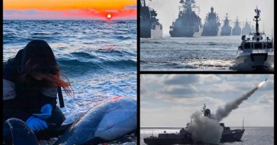 Фото – У Криму через російську агресію за місяць загинуло 14 дельфінів