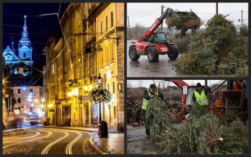 2 tons of Christmas trees were handed over for processing in Lviv