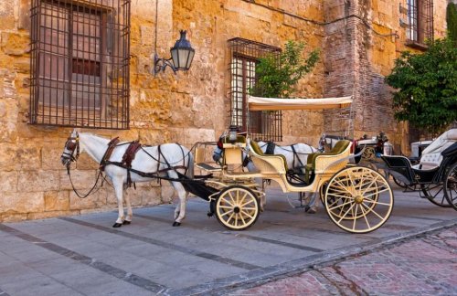 Багги вместо кареты: в Испании хотят запретить конные экипажи