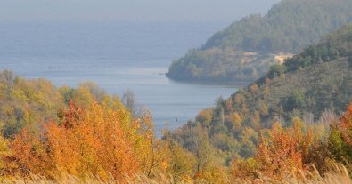 Photo – 4 hectares of nature reserve were returned through the court in the Kyiv region