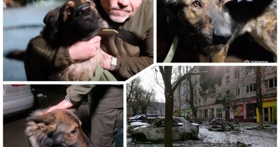 Photo – A policeman from Mariupol was reunited with his dog after 9 months in the occupation
