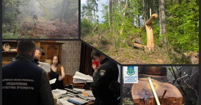 Photo – 157 million hryvnias worth of forest was cut down: officials announced suspicion