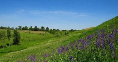 Фото – На півдні Київщини взяли під охорону десятки гектарів дикого степу