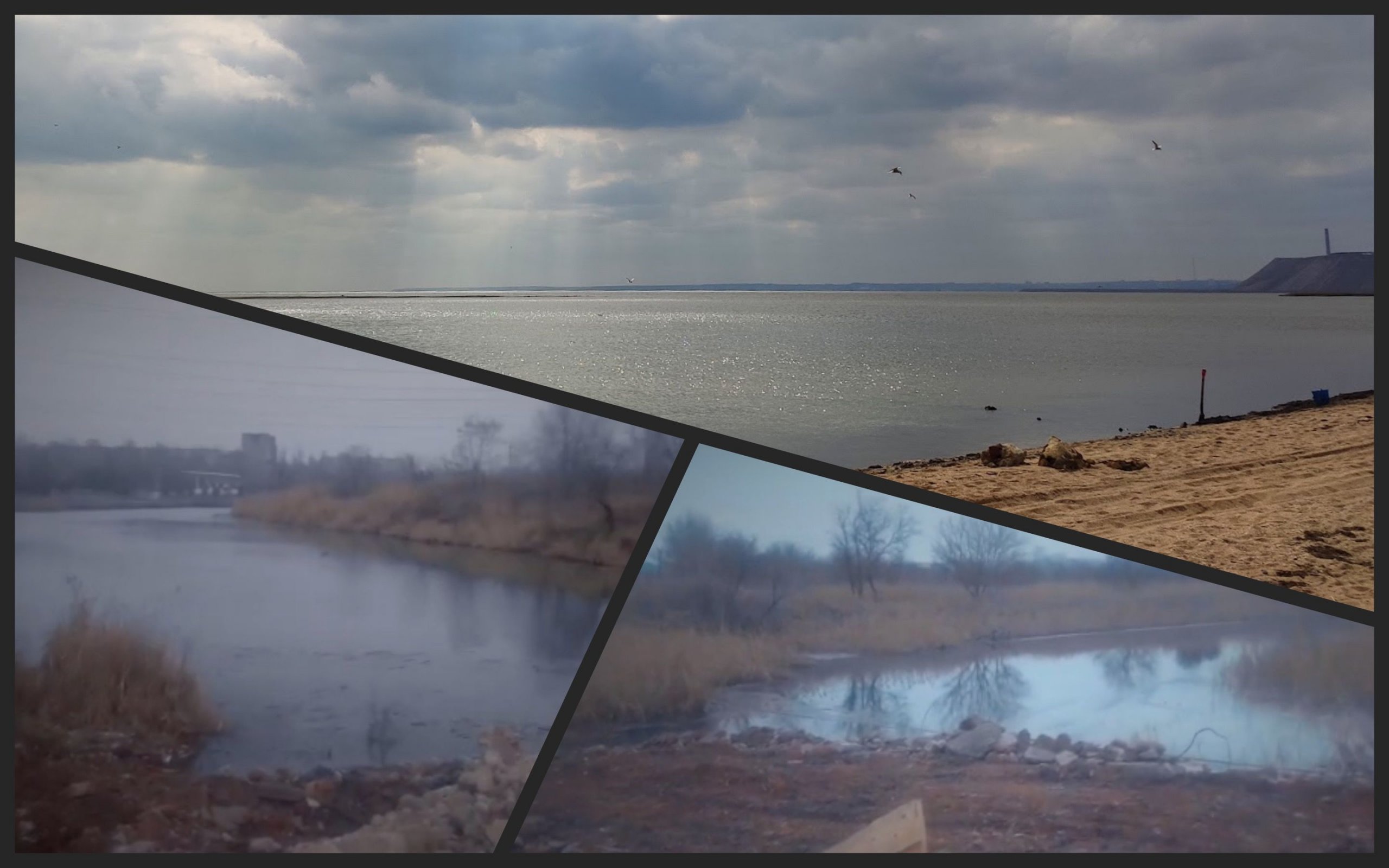 Фото – В Мариуполе действия оккупантов поставили Азовское море на грань экокатастрофы