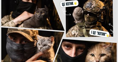 Photo – Prytula collects money to help cats and "cats in the armed forces"