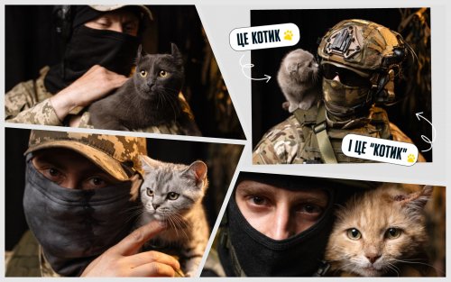 Притула собирает деньги на помощь котикам и "котикам в ВСУ"
