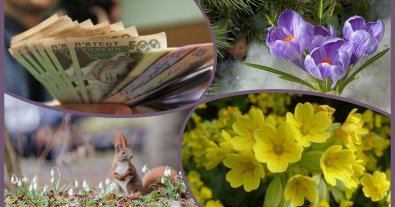 Фото – Українцям загрожують колосальні штрафи за букети підсніжників: які суми