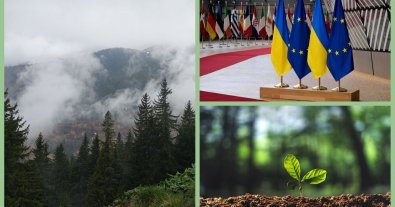 Photo – Ukraine and the EU will join forces to save forests