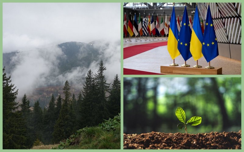 Ukraine and the EU will join forces to save forests