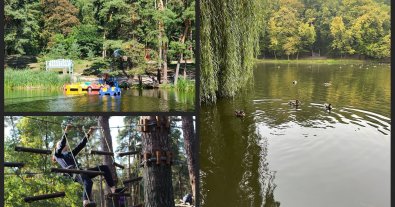 Photo – Activists have declared war on the transformation of Kyiv's Holosiiv forest into a source of income