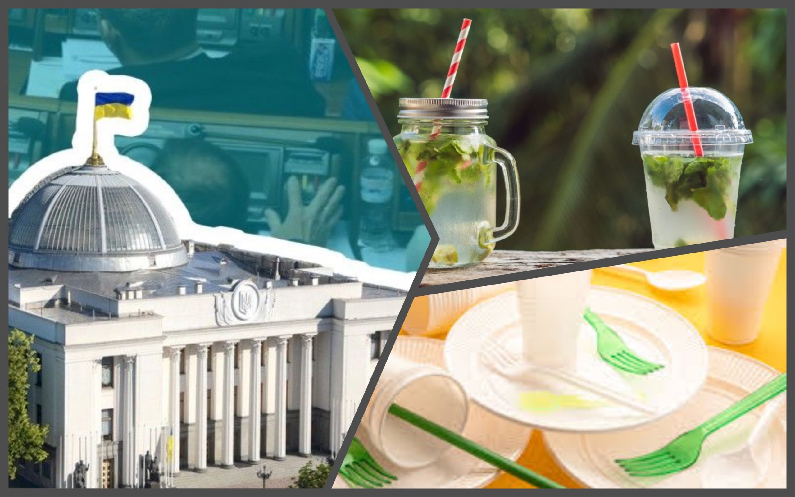 Photo – New draft law №6077 "On limiting the circulation of plastic": the ecocommittee gave its assessment