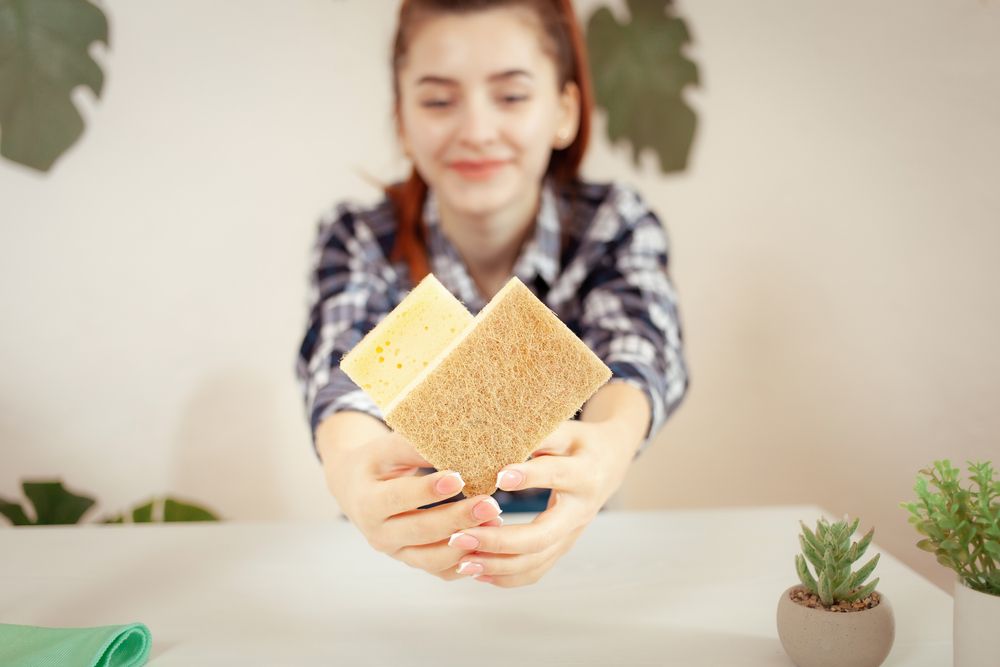 Photo – A clean house and clean nature: 4 simple rules for eco-cleaning the house are named