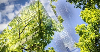 Фото – Стали известны детали амбициозного плана ЕС по восстановлению природы к 2050 году