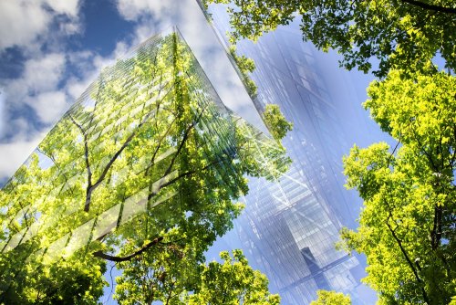 Зеленый переход должен учесть не только энергетические и климатические цели – МЭА